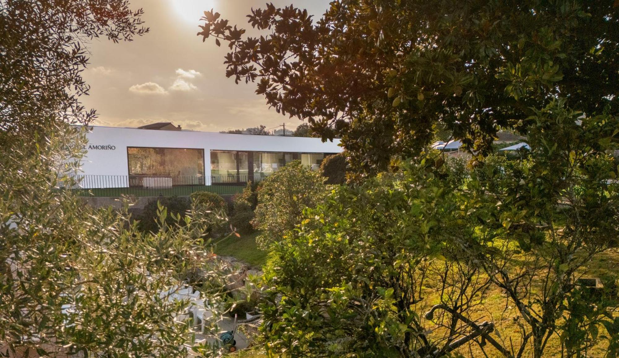 Hotel Amorino Tui Εξωτερικό φωτογραφία